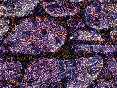 xm007169.gif