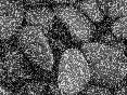 xm007166.gif