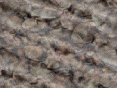 xm007160.gif
