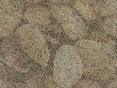 xm007159.gif