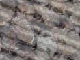 xm007158.gif
