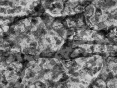 xm007155.gif