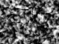 xm007151.gif