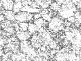 xm007149.gif