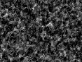 xm007147.gif