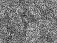 xm007145.gif