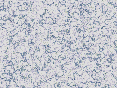 xm007143.gif