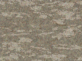 xm007142.gif