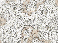 xm007141.gif
