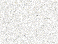 xm007140.gif