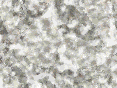 xm007138.gif