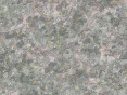 xm007137.gif