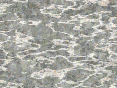 xm007135.gif