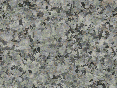 xm007133.gif