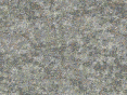 xm007132.gif