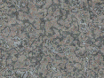 xm007131.gif