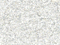 xm007129.gif