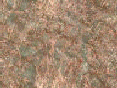 xm007128.gif