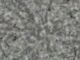 xm007125.gif