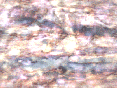 xm007123.gif