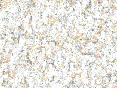 xm007115.gif