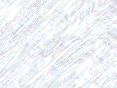 xm007113.gif