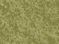 xm007111.gif