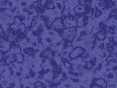 xm007107.gif