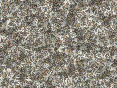 xm007104.gif