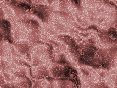 xm007100.gif