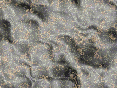 xm007099.gif