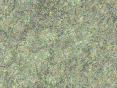 xm007091.gif