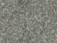 xm007090.gif