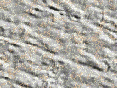 xm007088.gif