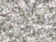 xm007084.gif