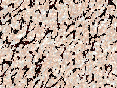 xm007083.gif