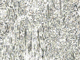 xm007082.gif