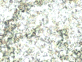 xm007080.gif
