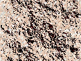 xm007079.gif