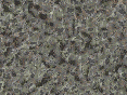xm007078.gif