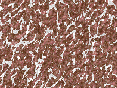 xm007077.gif