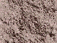 xm007074.gif