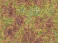 xm007072.gif