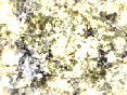 xm007070.gif
