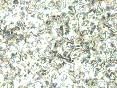 xm007069.gif