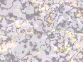 xm007063.gif