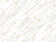 xm007061.gif