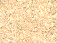 xm007058.gif