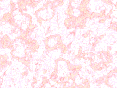 xm007055.gif