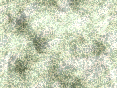 xm007054.gif
